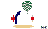 MND task